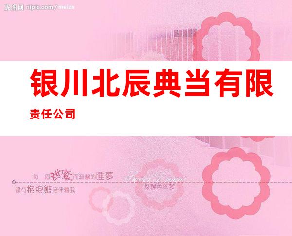 银川北辰典当有限责任公司